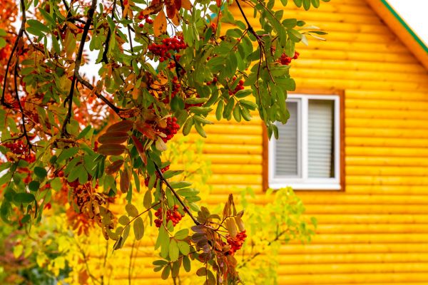 Professional Garden Window Replacement